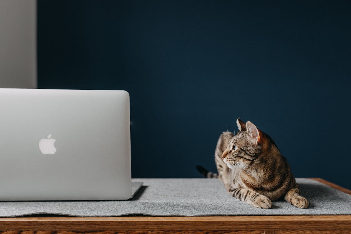 Reset routera WiFi za pomocą przycisku na obudowie